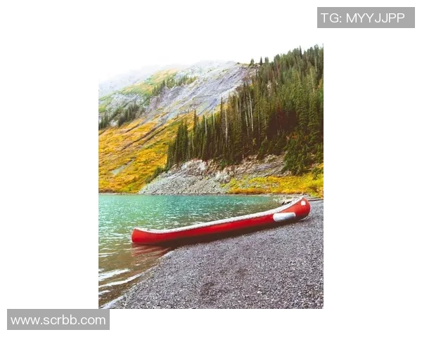 掌握足球滚球技巧提升投注胜率的实用指南与策略分析